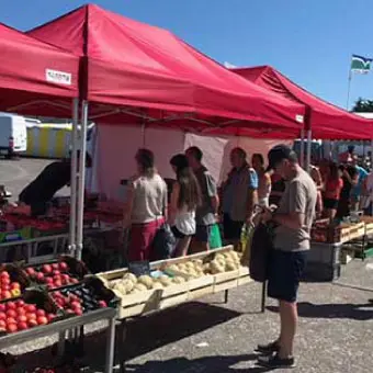 barnums pliants pour abriter des professionnels pendant un marché